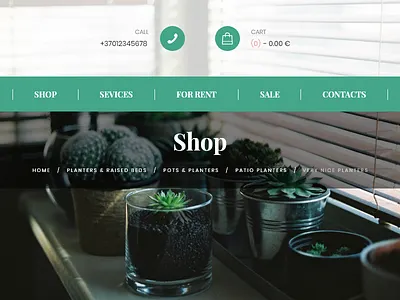 Breadcrumbs 056 adobe xd button daily ui dailyui design e commerce icon minimal minimalist nature plant shop type typography ui unsplash ux web