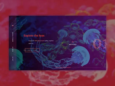 SEA Aquarium Website Design brand brand design branding clean flat graphic design identity minimal sea ui ux web website
