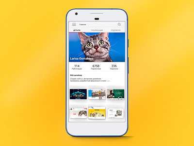 User Profile 006 color concept dailyiu design inspiration ui