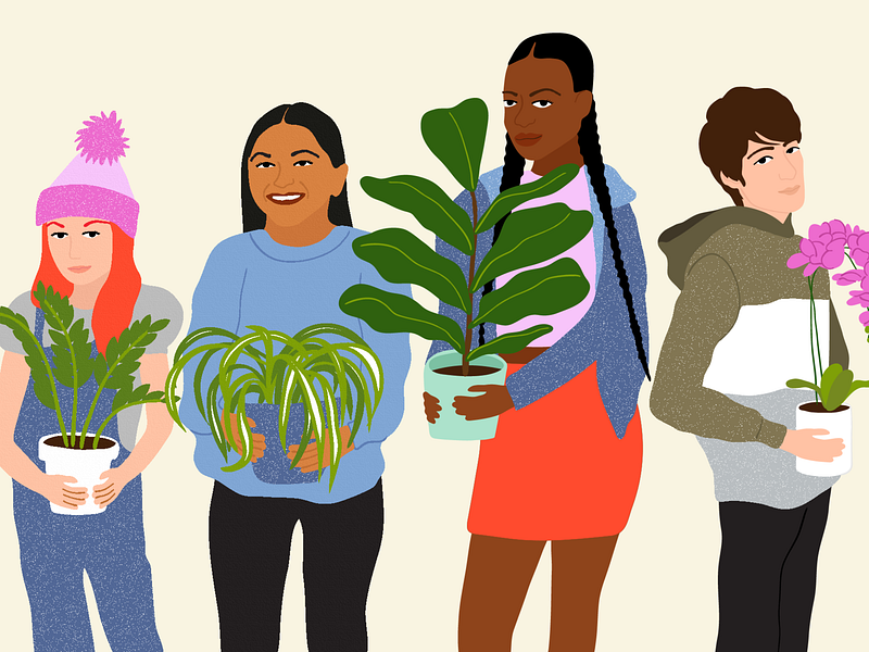 Houseplants According To Your Birth Order apartment therapy cute design editorial fiddle leaf fig houseplant illustration kids orchid people person plant plants simple spider plant stylish teenager vector whimsical zz plant