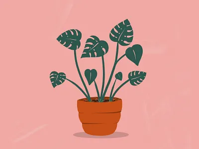 Monstera Deliciosa illustration monstera plant procreate