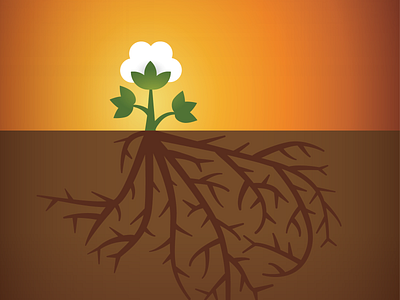 West Texas Roots cotton design dirt illustration plant roots sunset texas west texas