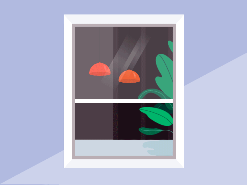 My baby cat！ ae animation cat design illustration