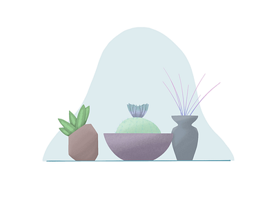 Planters barrel cactus cactus cactus bloom plants snake snake plant vase