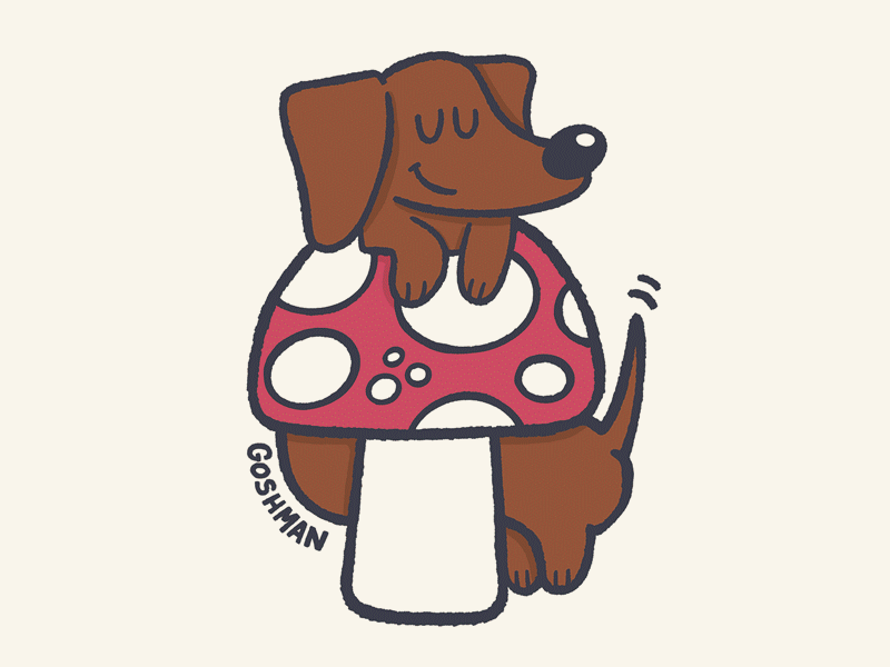 Shroom Patch Progression dog mushroom mushrooms patch