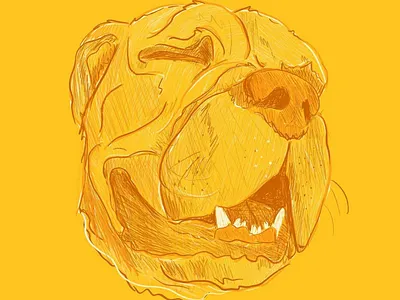 Dog Illos dog dog illustration doggos dogs illustration illustration art pets puppy pups