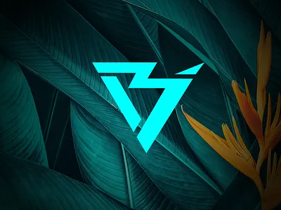 Brian Munene logo branding debut debutshot logo