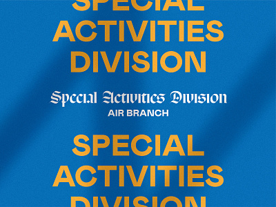 Special Activities Division / Air Branch badge branding font identity lettering logo logotype typography wordmark
