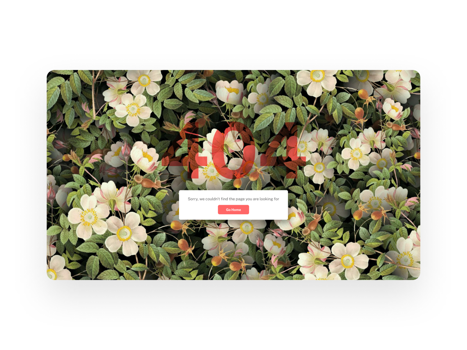 Example of Daily UI — 404