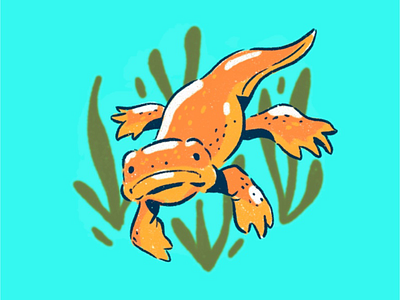Newt cute illustration newt procreate reptile