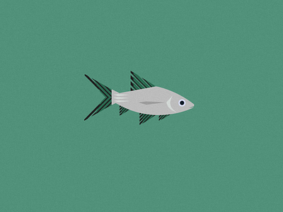 Fish Friday: Bala Shark b bala challenge character coastal design earth enviroment fish friday grain illustration illustrations illustrator jrdickie noise sea sealife shark vector