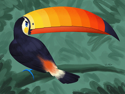 Toucannon animals birds character design illustration pokemon