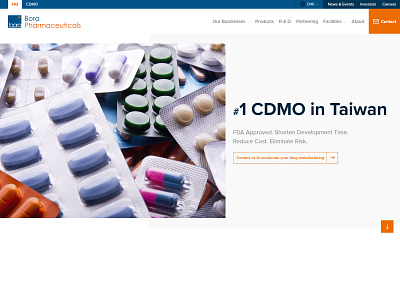 Bora Pharmaceuticals Taiwan Header branding design typography ui ux web website