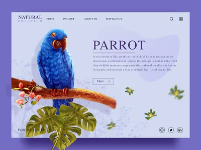 Natural creation 02 natural parrot 应用界面设计 设计