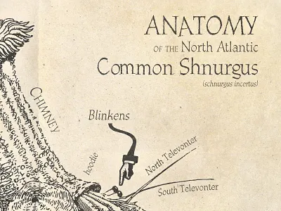 Schnurgus diagram excerpt distressed illustrator nonsense photoshop photoshop art smart object vector