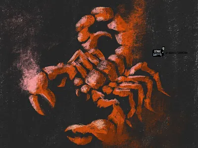 Scorpio design graphic grungy horoscope illustration procreate procreate app procreate art scorpio scorpion