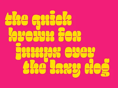 Salsero Typeface 70s brush calligraphy font lettering type typeface typography