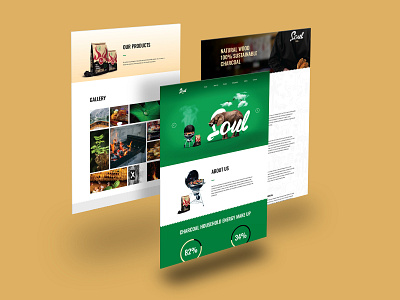 Web Design branding design graphic design photo manipulation ui ux web design