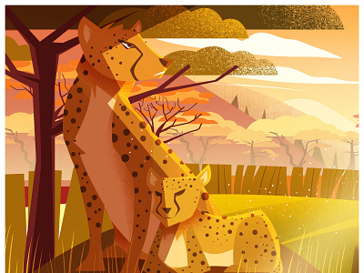 Animal Kingdom | Wild life animal art animal illustration art illustration photoshop wild life