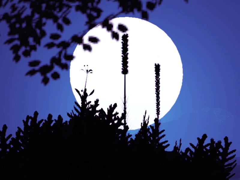 Breeze c4d gif 插图 设计