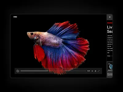 Video Player clean dailyinspiration dailyui dailyui057 digitaldesign interface ui ux video video player webdesign