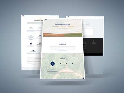 Website Design branding design ui ux web