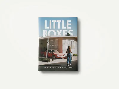 Little Boxes book book art book cover book cover mockup book covers book jacket bookcoverdesign brand and identity branding design editorial design graphicdesign photoshop type typography