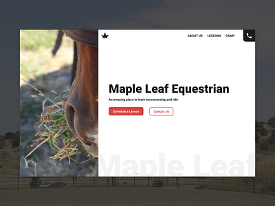Maple Leaf Equestrian Homepage Design barn design equestrian home page homepage homepage design horse modern ui web