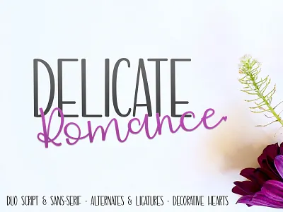 Delicate Romance font font design fonts type design typedesign typeface