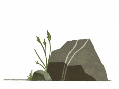 Little critter aftereffects animal animation cartoon character critter doodle drawing illustration procreate sketch texture