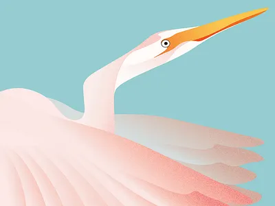 No regrets but theres egret art bird design digital art drawing egret graphics illustration illustrator minimal pastel portrait vector wings