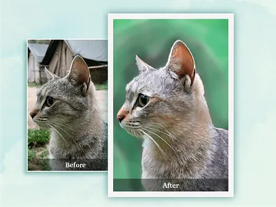 Digital Art animal digital art digital illustration digitalart illustration photoshop