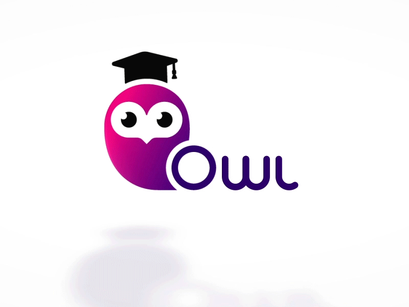 Owl animation branding character animation illustration logo animation