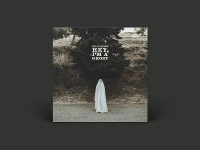 HEY, I'M A GHOST 2000s album album art emo ghost music record sullivan vinyl