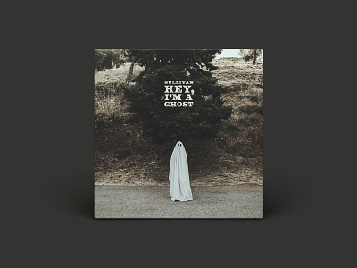 HEY, I'M A GHOST 2000s album album art emo ghost music record sullivan vinyl