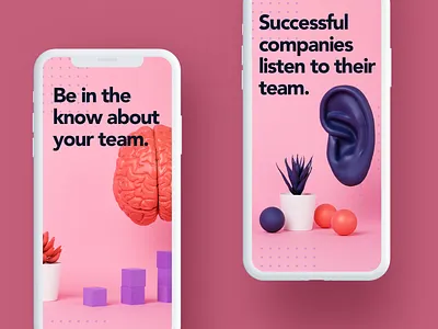 Brand Photography app iphone landing page photography website