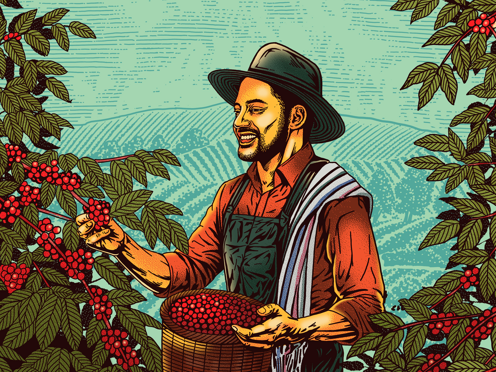 Example of Packaging Hand Drawn Illustration