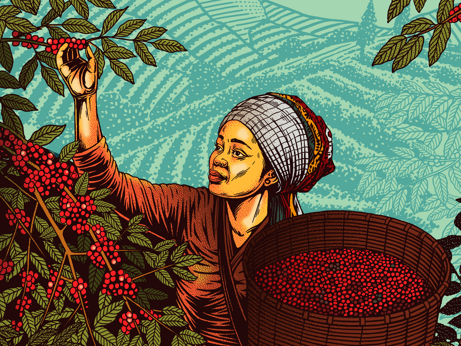 Example of Packaging Hand Drawn Illustration