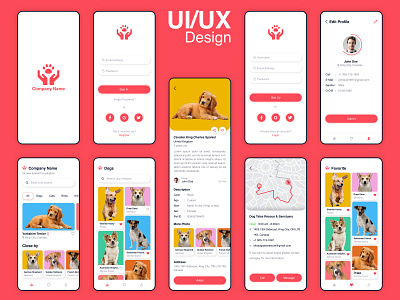 Adoption app design adoption animals app best bird design god icon illustrator logo mobile ux