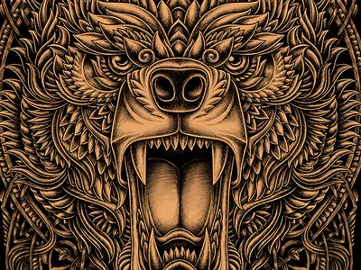 Bear bear illustration oleggert