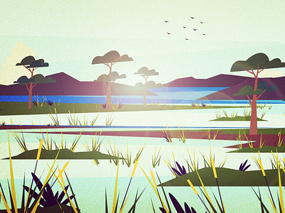 Free adobe design illustration vector
