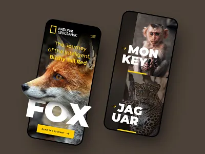 National Geographic Mobile clean concept design drawingart exploration header layout minimal national geographic photoshop responsive ui ux web webdesign website