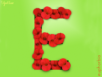 The Letter Series: E alphabet art design digital painting letter lettering typography