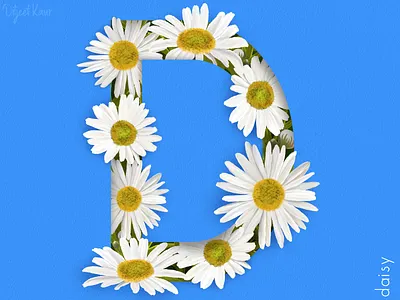 The letter series: D alphabet art design digital painting letter lettering typography