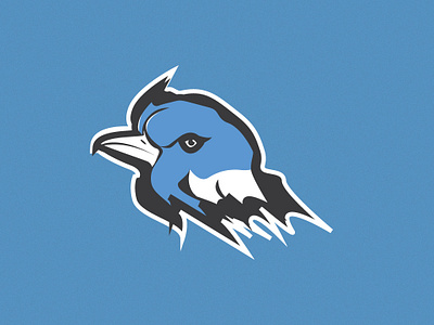 Bird Logo animation app branding clean concept design flat graphic icon illustration interface ios logo minimal ui ui ux userexperience ux ux ui vector