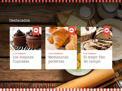 Dánica | Web Design brand identity branding design responsive ui ux web web design website