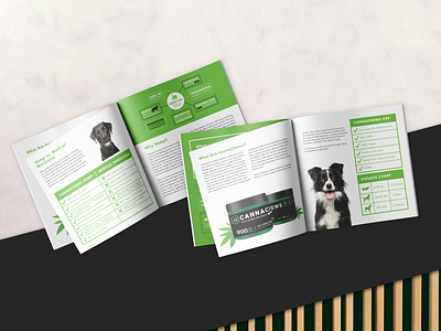 Grow Pharmaceuticals Branding + Brochure brand identity branding branding design brochure design catalog design cbd hemp pets print design print designer
