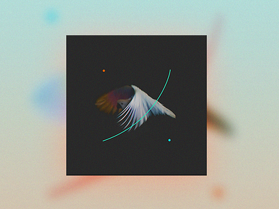 Search Me - Single Cover album album art