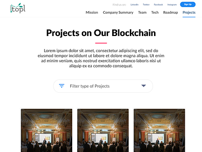 Projects page for Topl app blockchain branding creative design design illustration travel typography ui ux ux design web website