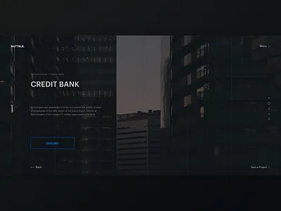 NUTTELE - project page awards banking dark ui it company photo slider ui ux design ux